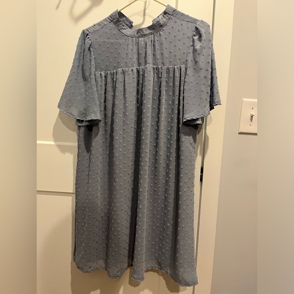 PinkBlush Light Blue Swiss Dot Short Sleeve Knee Length Maternity Dress
